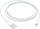 Apple Lightning to USB Cable 1m Vit
