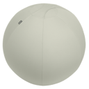 Leitz Ergo Active Sitting Ball med stoppfunksjon 65cm 