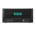 HPE Microserver Gen10 Plus G6405 16GB + 2x1TB + iLO 