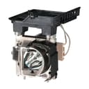 Nec Projektorin lamppu - U300X/U310W 