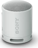 srs-xb100-tradlos-hogtalare---gra