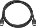 HP DisplayPort-kabel 2m 2m DisplayPort DisplayPort DisplayPort DisplayPort Svart Svart