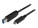 Startech USB C to USB B Printer Cable 2m USB-C USB-B Svart