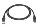 Black Box Usb 2.0 Cable Type A/b M/m 0.9m 0.9m USB-A USB-B Musta