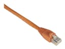 Black Box 1.2m UTP Cat6 netwerkkabel Oranje 1,2 m U/UTP (UTP) RJ-45 Cat 6 1.2m Oranje