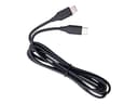 Jabra Evolve2 USB Cable USB-C to USB-C 120cm 1.2m USB-C USB-C Svart