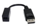 Startech 6in DisplayPort to Mini DisplayPort Video Cable Adapter 0.152m Mini DisplayPort DisplayPort Musta