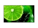 NEC MultiSync E758 Digital skiltingstavle (flatskjerm) 190,5 cm (75") LED 350 cd/m² 4K Ultra HD Sort 75" IPS 400cd/m² 3840 x 2160pixels