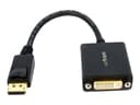 Startech DisplayPort to DVI Video Adapter Converter 0.152m DisplayPort DVI-I Sort