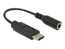 Delock Audio adapteri 