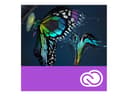 Adobe Premiere Pro CC for teams 