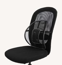Swedish posture Svankstöd 
