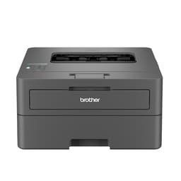 Brother HL-L2400DW A4 