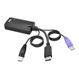 Eaton NetDirector DisplayPort USB Server Interface Unit (B064-IPG Series) 