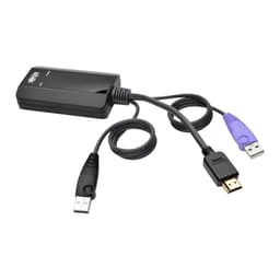 Eaton NetDirector HDMI USB Server Interface Unit (B064-IPG Series) 