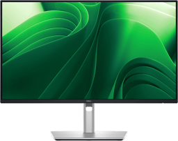 Dell Pro Plus P2425DE 24" 2560 x 1440pixels IPS 16:9 100Hz