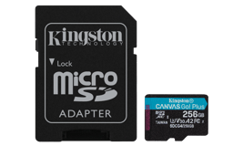 Kingston Canvas Go Plus Gen4 256GB MicroSD UHS-I