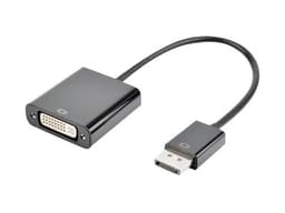 Prokord Video adapter 0.2m DisplayPort DVI-D Svart