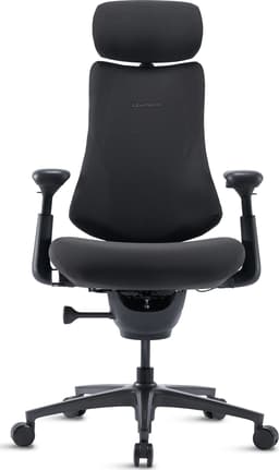 Libernovo Omni Pro dynamisk ergonomisk stol 48 cm grafittgrå 