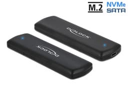 Delock 42633 harddiskkabinett SSD-kabinett Sort M.2 