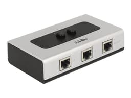 Delock 87673 gränssnittshubbar 1000 Mbit/s Svart, Grå RJ-45