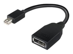Lenovo Mini-Displayport To Displayport Adapter Mini DisplayPort DisplayPort Svart
