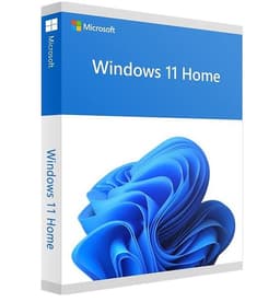Microsoft Windows 11 Home Volledig verpakt product (FPP) 1 licentie(s) 
