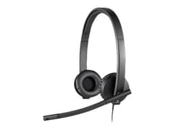 Logitech H570e USB Type-A Sort