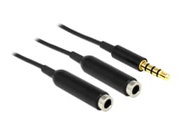Delock 65575 ljudkabel 0,25 m 3,5mm 2 x 3.5mm Svart 0.25m 3.5mm 2 x 3.5mm