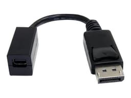 Startech 6in DisplayPort to Mini DisplayPort Video Cable Adapter 0.152m Mini DisplayPort DisplayPort Svart
