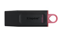 Kingston Datatraveler Exodia 256GB USB Type-A Svart, Rosa