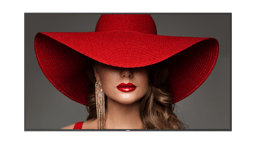 Philips D-Line 86BDL4650D 24/7 86" VA 500cd/m² 3840 × 2160pixels