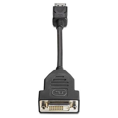 HP DisplayPort to DVI-D Adapter 0.19m DisplayPort DVI-D Zwart