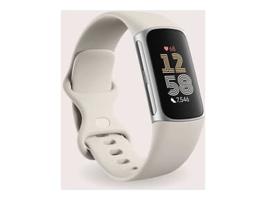 Fitbit Charge 6 Silver Aluminum Case 