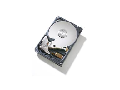 Fujitsu Enterprise 2.5" 10000r/min SAS Harddisk