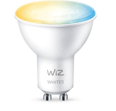 WIZ Spot 50 W PAR16 GU10 