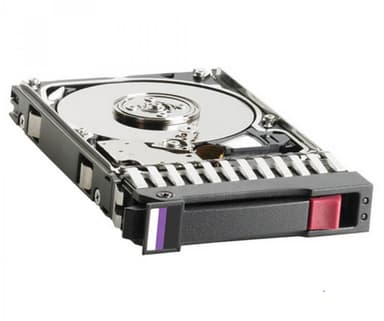 HP Dual Port Enterprise 2.5" 10000r/min SAS