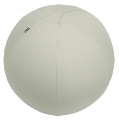 Leitz Ergo Active Zitbal met Stop-functie 55cm 
