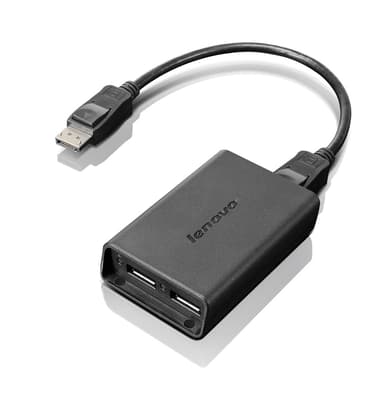 Lenovo DisplayPort-adapter USB A USB A Sort