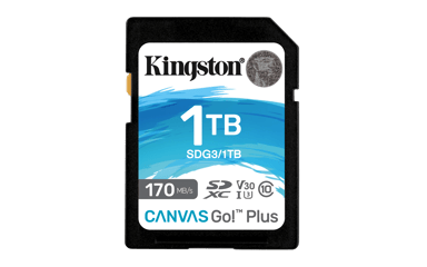 Kingston Canvas GO! Plus 1000GB SD UHS-I