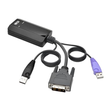 Eaton NetDirector DVI USB Server Interface Unit (B064-IPG Series)