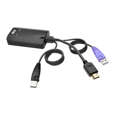 Eaton NetDirector HDMI USB Server Interface Unit (B064-IPG Series)
