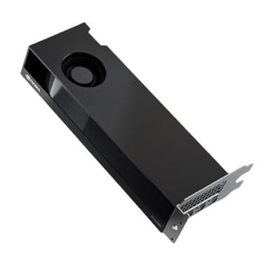 Dell NVIDIA RTX 2000 Ada 16GB GDDR6 16GB