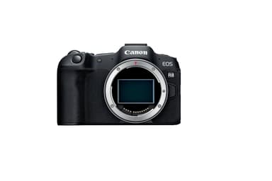 Canon EOS R8 + RF 24-50mm F4.5-6.3 IS STM 