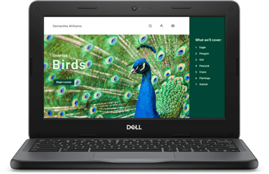 Dell Chromebook 3120 Intel® N 4GB 64GB 11.6"