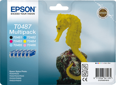 Epson Bläck Multipack T048 - R300