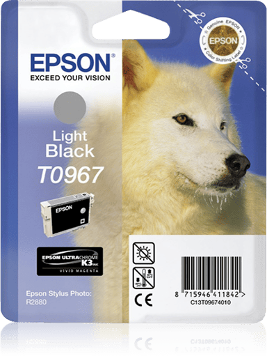 Epson Blæk Ljus Sort - STYLUS Foto R2880