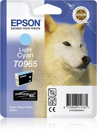 Epson Bläck Ljus Cyan STYLUS Foto R2880 
