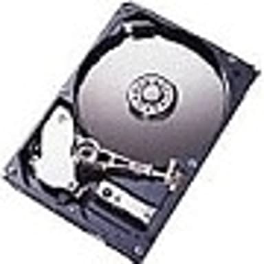 IBM Hårddisk 2.5" 10000r/min SAS HDD
