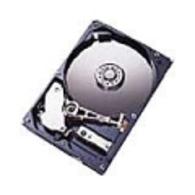 IBM Server hårddisk 3.5" 7200r/min SATA HDD